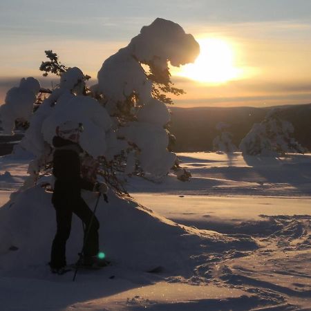 Levi Ski-Star 314 Eksteriør billede